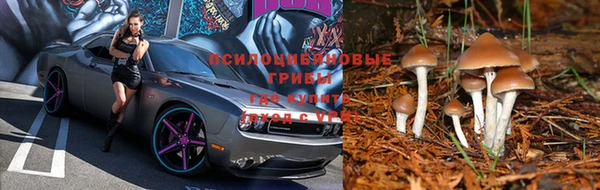трава Куйбышев