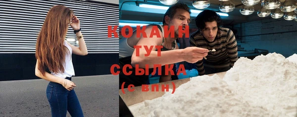 ПСИЛОЦИБИНОВЫЕ ГРИБЫ Лагань