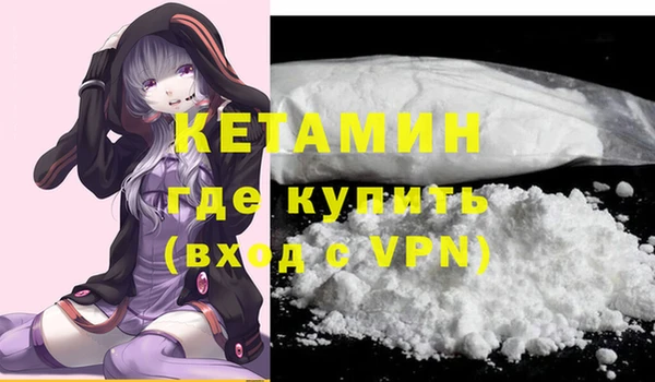 индика Кулебаки