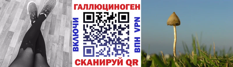 Галлюциногенные грибы ЛСД  дарнет шоп  Старая Русса 