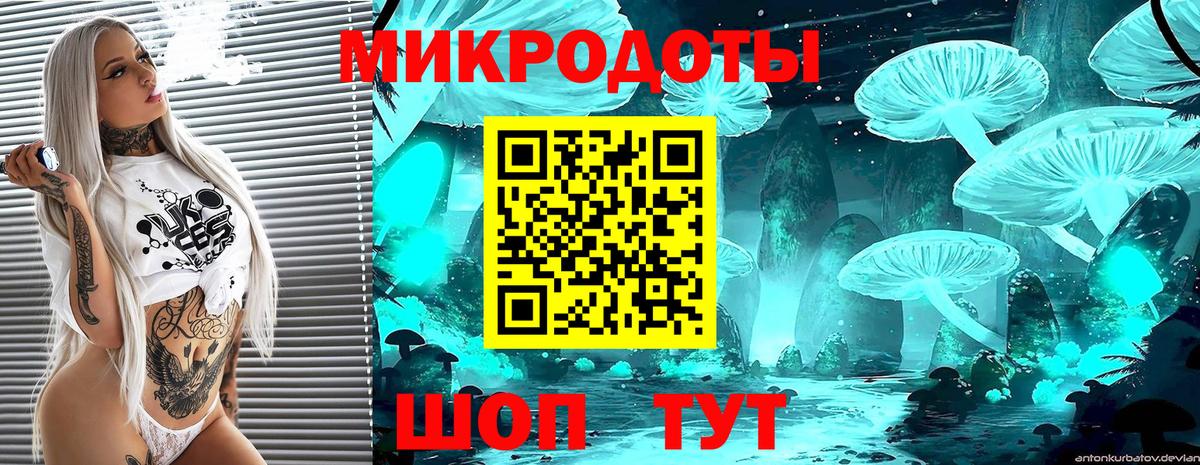 Псилоцибиновые грибы мицелий Старая Русса