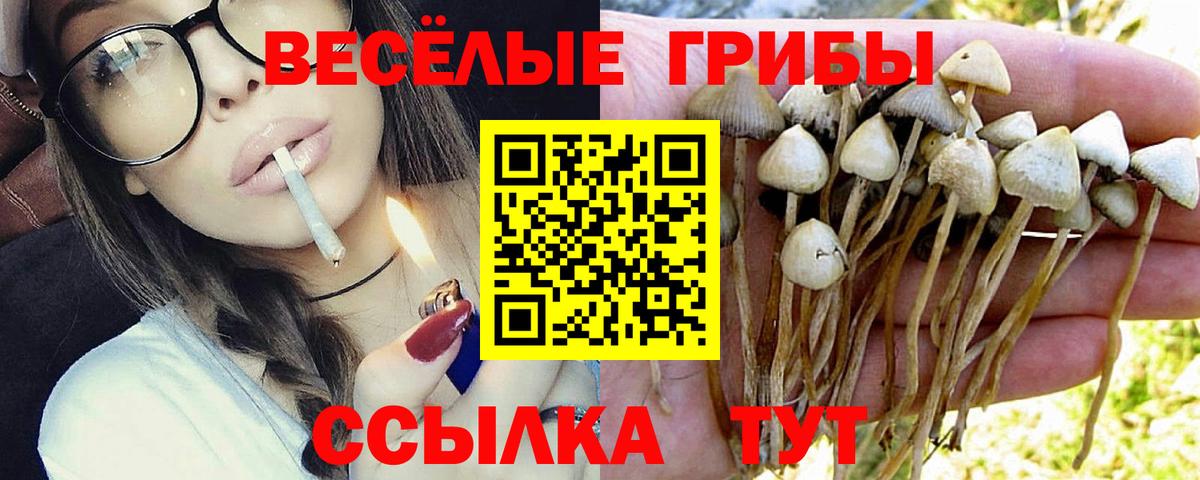 Галлюциногенные грибы ЛСД  Вход с VPN  Старая Русса  Псилоцибиновые грибы Cubensis 